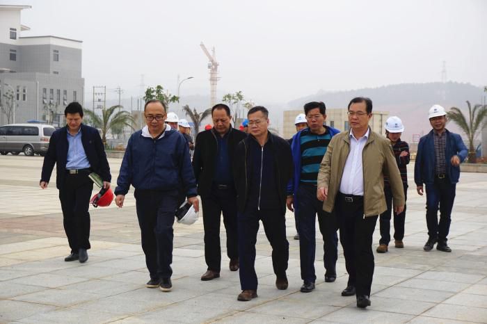 5.吴锡熹一行在项目落成区进行实地观察。谢微旋 摄700.jpg