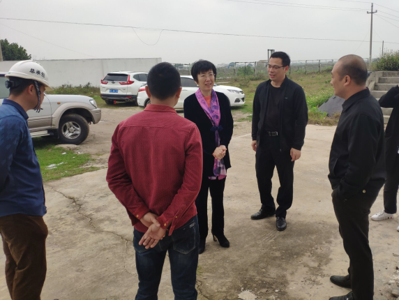 11辛红梅视察项目。梁荣程 摄700.png