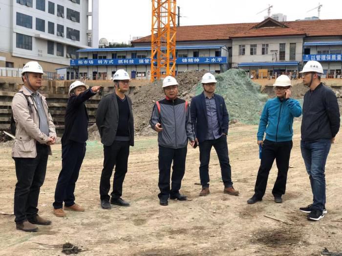 5.2陆烜带队到直属分公司民族苑项目查抄。 朱文海 摄700.jpg