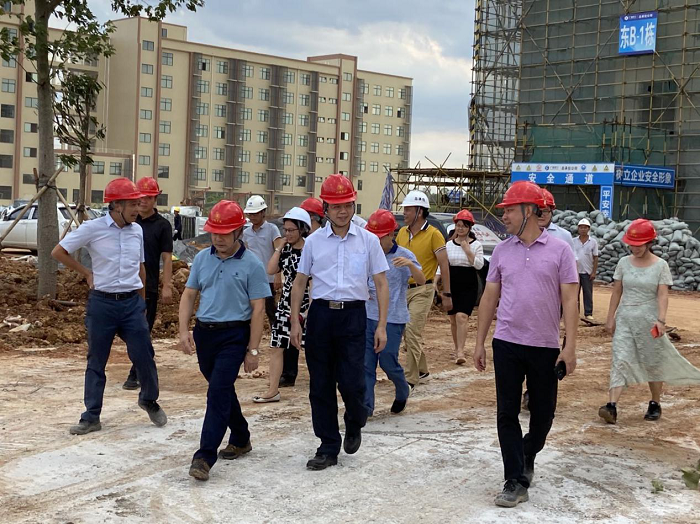 调研现场。韦艳兰 摄.png