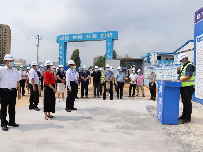 驻桂人大代表听取项目经理汇报。侯健杰 摄.jpg