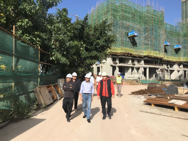 查抄工地现场；莆氖 摄（建图）.jpg