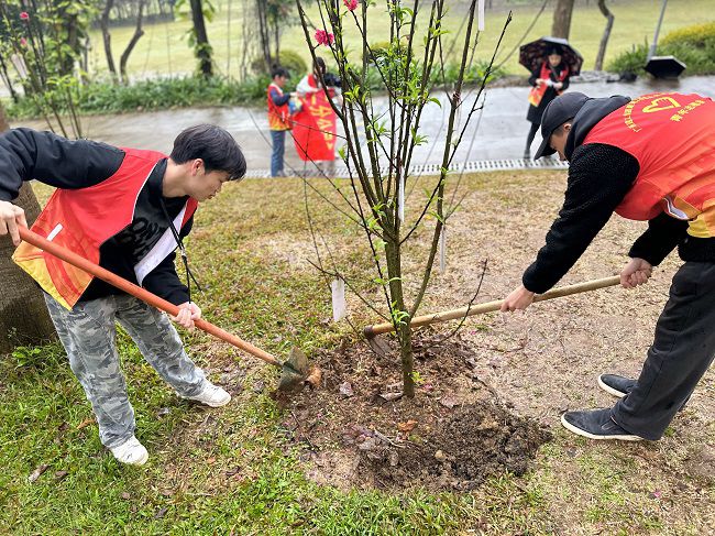 为树苗松土固基。周煜川 摄（建图）.jpg